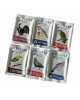 Wingspan Fan-Designed Bird Promo Packs: Set 1