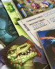 Roll Player Adventures: Gulpax's Secret