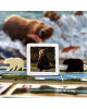 Katmai: The Bears of Brooks River