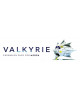 Предзаказ: Moon: Valkyrie Expansion