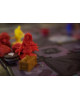 Vast: The Mysterious Manor