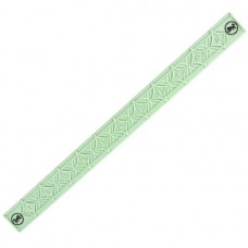 A Song of Ice and Fire: House Stark Plastic Ruler