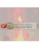 On Mars: Alien Invasion Wooden Alien Token