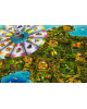 Finca (2024 Edition) 