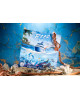 Reef Project