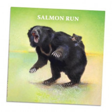 Nature: Salmon Run Mini-Module